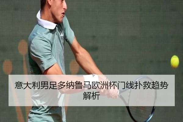 意大利男足多纳鲁马欧洲杯门线扑救趋势解析